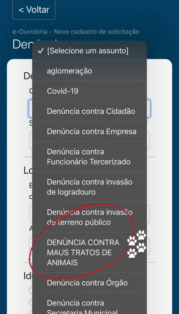 Piraí dá o primeiro passo para a implantação do Plano de Manejo populacional de cães e gatos e abre canal para denúncias de maus-tratos