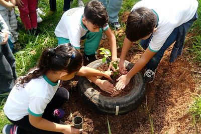 Escolas municipais comemoram o Dia da Árvore