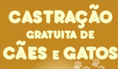 Piraí inaugura consultório de castração para cães e gatos