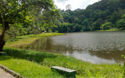 Parque do Caiçara