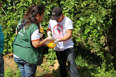 Mais atenção no combate ao mosquito da dengue com a chegada do verão