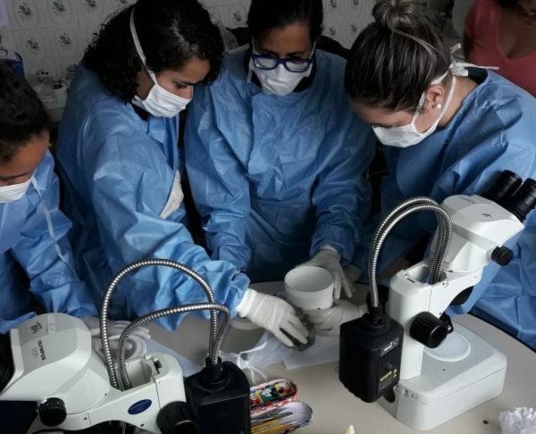 Vigilância Ambiental em Saúde participa de curso sobre Leishmaniose