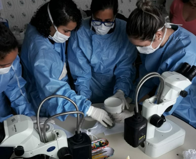 Vigilância Ambiental em Saúde participa de curso sobre Leishmaniose