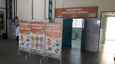 Prorrogado para 30 de julho o agendamento para castração de cães e gatos