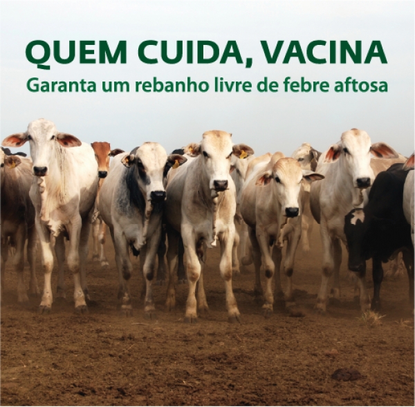 Vacina contra febre aftosa é disponibilizada